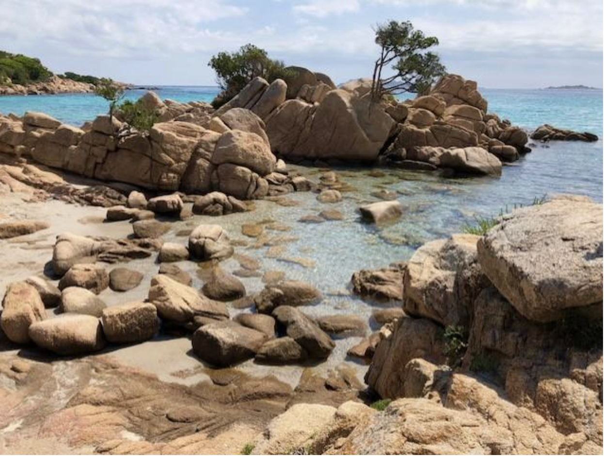A rocky beach with trees and water on the coast of Sardinia